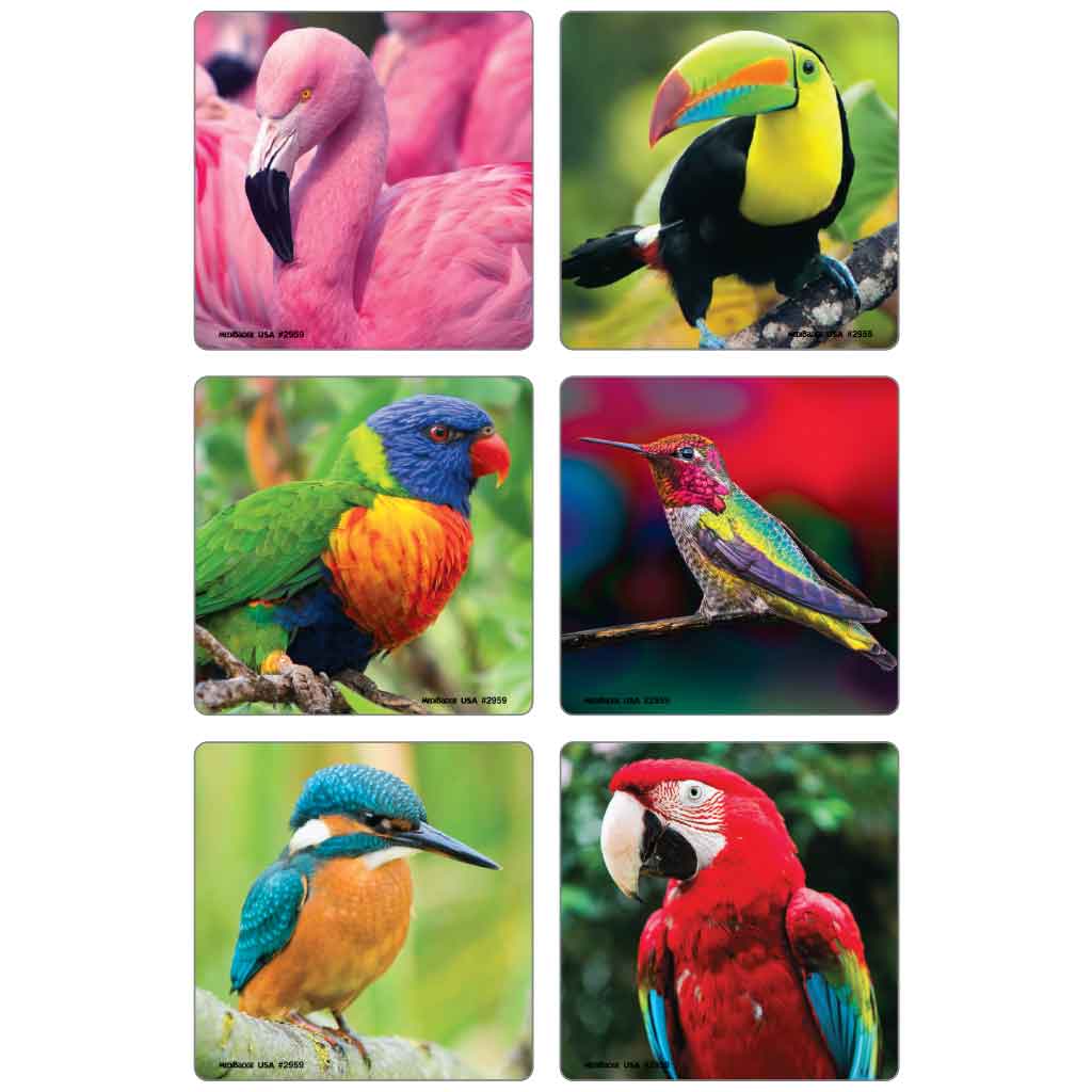 Tropical Bird Photos Asst. Stickers